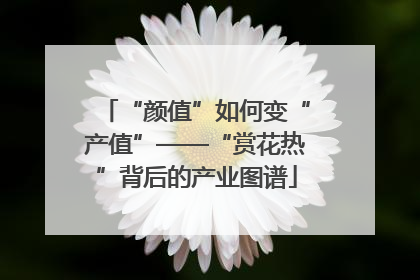 “颜值”如何变“产值”——“赏花热”背后的产业图谱