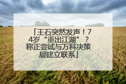 王石突然发声！74岁“重出江湖”？称正尝试与万科决策层建立联系