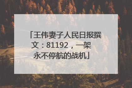 王伟妻子人民日报撰文：81192，一架永不停航的战机