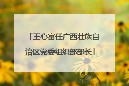 王心富任广西壮族自治区党委组织部部长