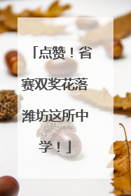 点赞！省赛双奖花落潍坊这所中学！