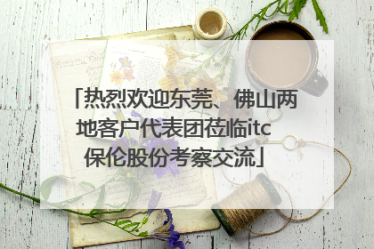 热烈欢迎东莞、佛山两地客户代表团莅临itc保伦股份考察交流