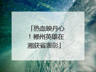 热血映丹心！郴州英雄在湘获省表彰