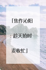 焦作沁阳：趁天抢时麦收忙