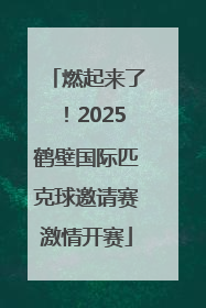 燃起来了！2025鹤壁国际匹克球邀请赛激情开赛