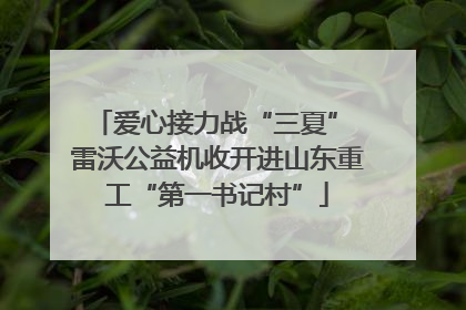 爱心接力战“三夏” 雷沃公益机收开进山东重工“第一书记村”