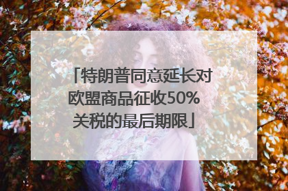 特朗普同意延长对欧盟商品征收50%关税的最后期限