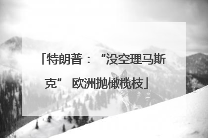 特朗普：“没空理马斯克” 欧洲抛橄榄枝