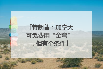 特朗普：加拿大可免费用“金穹”，但有个条件