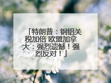 特朗普：钢铝关税加倍 欧盟加拿大：强烈遗憾！强烈反对！