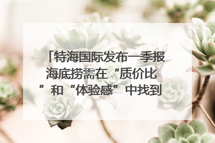特海国际发布一季报 海底捞需在“质价比”和“体验感”中找到平衡｜新经济观察