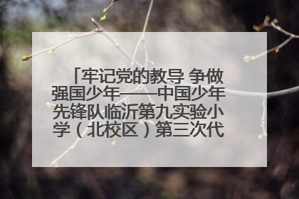 牢记党的教导 争做强国少年——中国少年先锋队临沂第九实验小学（北校区）第三次代表大会胜利召开