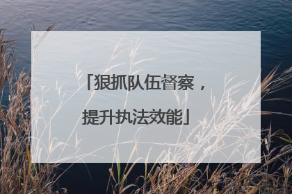 狠抓队伍督察，提升执法效能