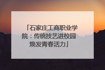 石家庄工商职业学院：传统技艺进校园焕发青春活力