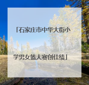 石家庄市中华大街小学男女篮大赛创佳绩