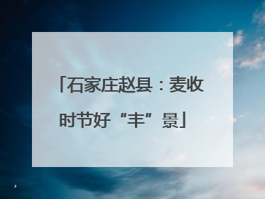 石家庄赵县：麦收时节好“丰”景