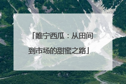 睢宁西瓜：从田间到市场的甜蜜之路