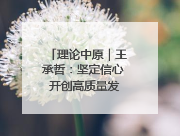 理论中原｜王承哲：坚定信心 开创高质量发展新局面