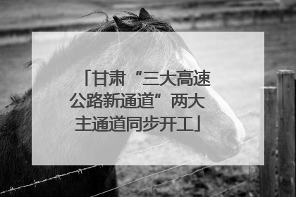 甘肃“三大高速公路新通道”两大主通道同步开工