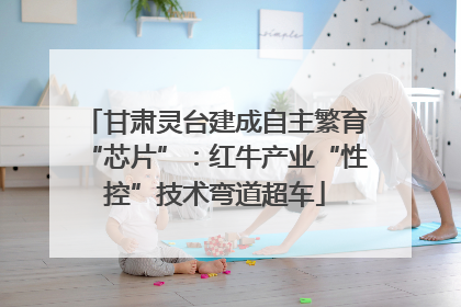 甘肃灵台建成自主繁育“芯片”：红牛产业“性控”技术弯道超车