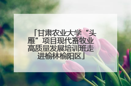 甘肃农业大学“头雁”项目现代畜牧业高质量发展培训班走进榆林榆阳区