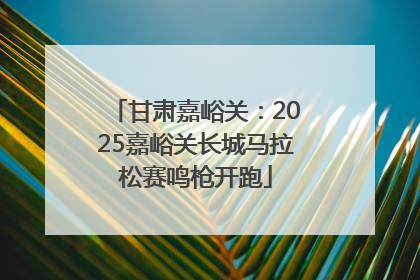 甘肃嘉峪关：2025嘉峪关长城马拉松赛鸣枪开跑