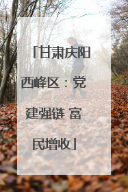 甘肃庆阳西峰区：党建强链 富民增收