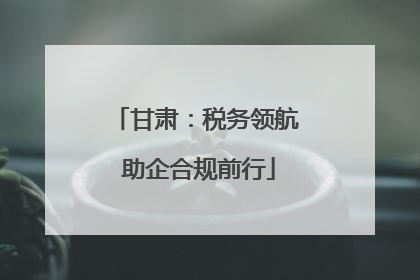 甘肃：税务领航 助企合规前行