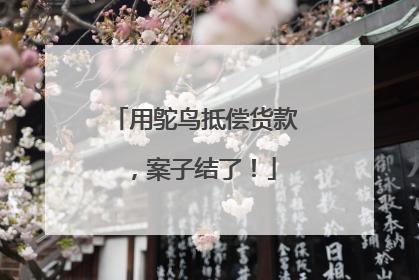 用鸵鸟抵偿货款，案子结了！