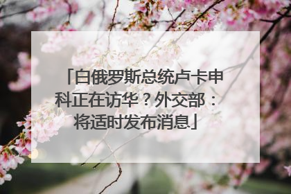 白俄罗斯总统卢卡申科正在访华？外交部：将适时发布消息