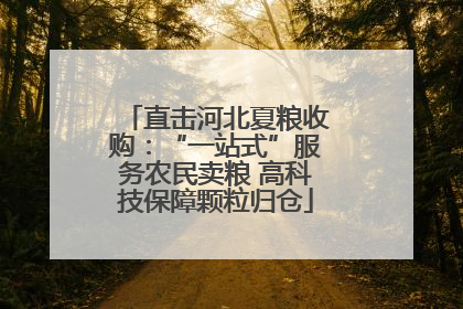 直击河北夏粮收购：“一站式”服务农民卖粮 高科技保障颗粒归仓
