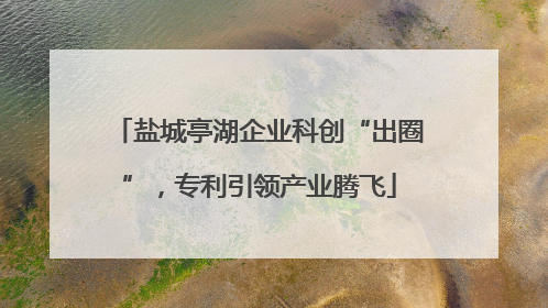 盐城亭湖企业科创“出圈”，专利引领产业腾飞