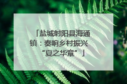 盐城射阳县海通镇：奏响乡村振兴“夏之华章”
