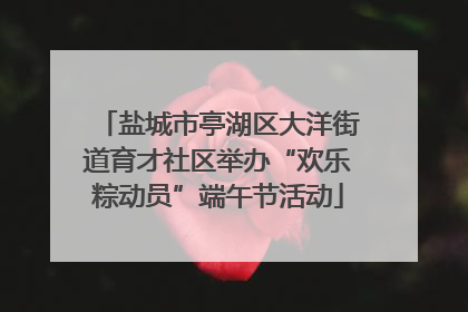 盐城市亭湖区大洋街道育才社区举办“欢乐粽动员”端午节活动