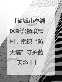 盐城市亭湖区新兴镇联盟村：密织“防火墙”守护蓝天净土