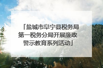 盐城市阜宁县税务局第一税务分局开展廉政警示教育系列活动