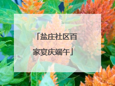 盐庄社区百家宴庆端午