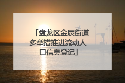 盘龙区金辰街道多举措推进流动人口信息登记