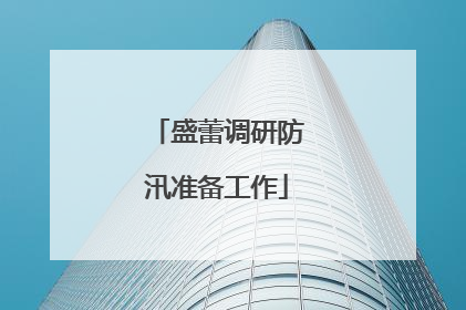 盛蕾调研防汛准备工作