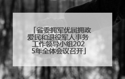 省委拥军优属拥政爱民和退役军人事务工作领导小组2025年全体会议召开