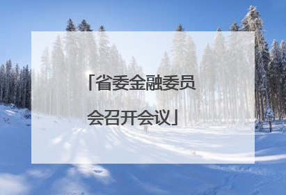 省委金融委员会召开会议