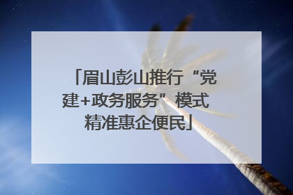 眉山彭山推行“党建+政务服务”模式 精准惠企便民
