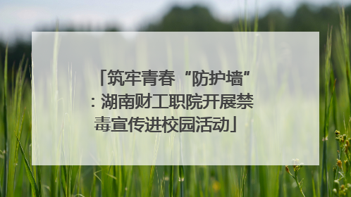 筑牢青春“防护墙”：湖南财工职院开展禁毒宣传进校园活动
