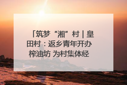 筑梦“湘”村｜皇田村：返乡青年开办榨油坊 为村集体经济“加油”