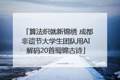 算法织就新锦绣 成都非遗节大学生团队用AI解码20首蜀锦古诗
