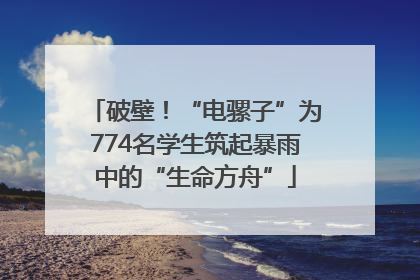 破壁！“电骡子”为774名学生筑起暴雨中的“生命方舟”