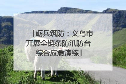砺兵筑防：义乌市开展全链条防汛防台综合应急演练