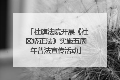 社旗法院开展《社区矫正法》实施五周年普法宣传活动