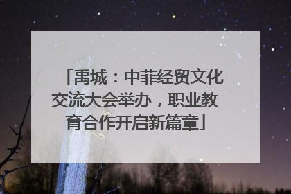 禹城：中菲经贸文化交流大会举办，职业教育合作开启新篇章