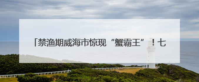禁渔期威海市惊现“蟹霸王”！七人强卖3000元劣质蟹被铐！